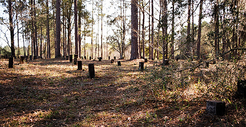 When I was a teenager, I often puzzled over this fenced-in spot of land tucked away in the woods near our home.  (2005)