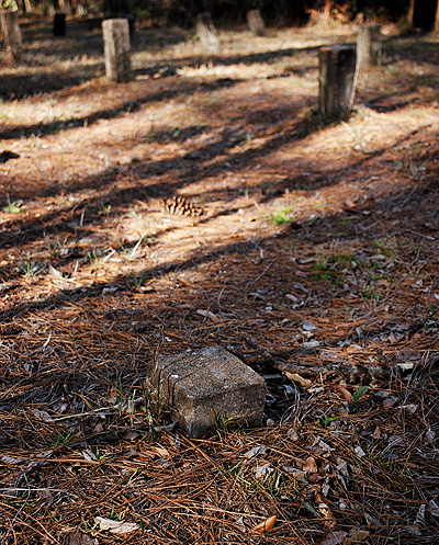 At the potter's field near our old home in the woods, south of town, some of the old stone markers there have almost disappeared into the ground.  (2005)