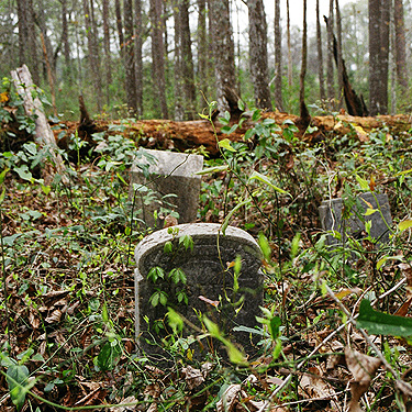 Stepping over the biggest fallen tree at the abandoned graveyard at The Greenway, you can take a closer look at the graves on the other side.  (2005)