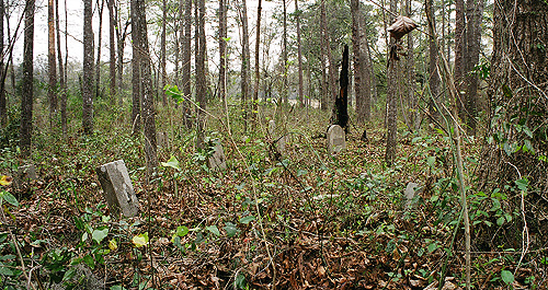 Another view of the abandoned graveyard at The Greenway.  Note the apparently lightning struck tree.  (2005)