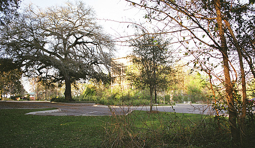 The asylum.  Not so scary during the day, huh?  (2005)