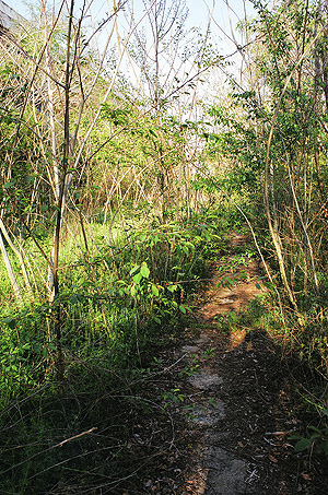 Walking behind The Asylum.  Note the building on the left.  (2005)