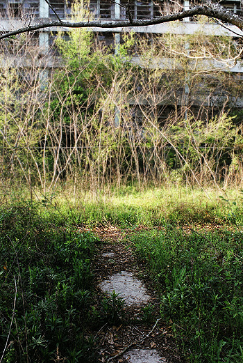 Your last look at The Asylum before heading into the woods.  (2005)