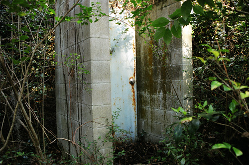 There is a door in the middle of the woods behind The Asylum.  (2005)