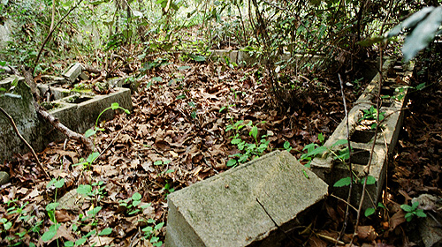Another view of the remnant walls of the unknown building in the middle of the overgrown grounds at The Asylum.  (2005)