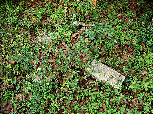 A better look at one of my concrete constructions in the middle of the abandoned, overgrown grounds at The Asylum.  (2005)