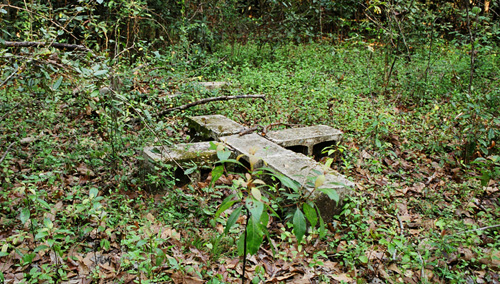 One last look at my cat cemetery in the middle of the abandoned, overgrown grounds at The Asylum.  (2005)