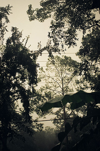 The sky outside our house in the midst of Hurricance Ivan. (2004 Sep 18)