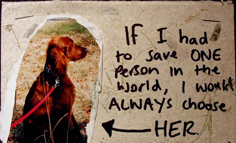 One of the postcards from POSTSECRET that was an instant keeper for me.  Made Candy cry.