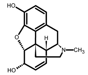 Molecular formula for morphine.