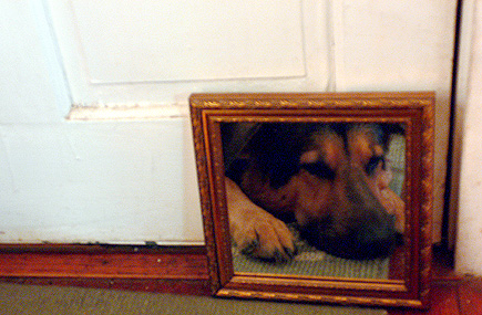 Argus in the mirror.  (2005)