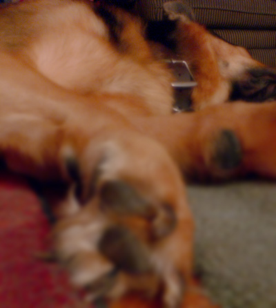 I call this Argus Paw Perspective.  Took it at about 1 o'clock in the morning.  (August 22, 2006)