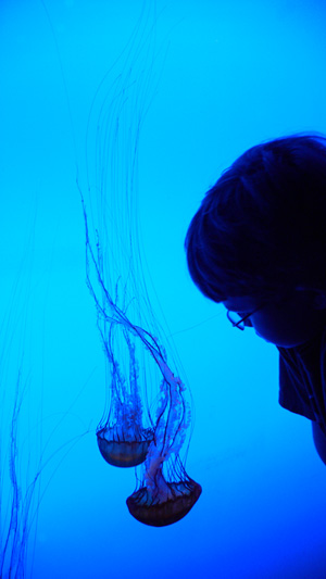 Alex with the jellies at the Georgia Aquarium.