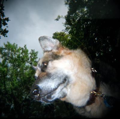 Sheriff.  Holga.  Flash.  (2007)