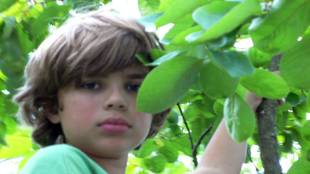 Alex in the Trees.  (2007)