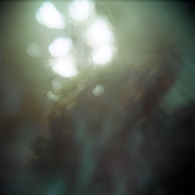 A happy photographic accident, courtesy of the Holga.  (2007)