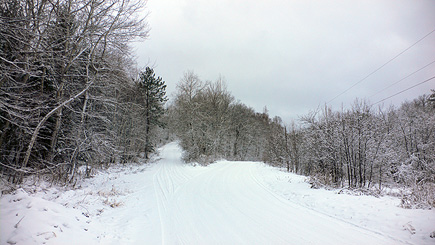 Up to the left takes you to the family farm.  Go down to the right and you'll pass my Aunt Pauline's place on the left with family property on either of side of the road and then on to the other homes in the neighborhood.  (2007)