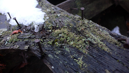 Old nails in old wood with a touch of snow.  (2007)