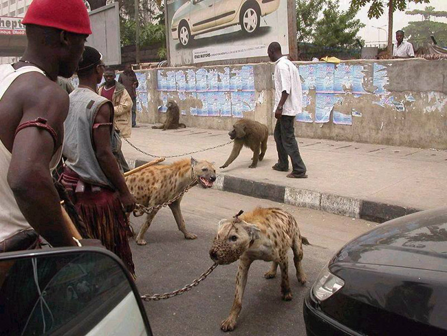 The photo that started it all.  The implied mystique and barbarism is palpable in this photo taken with a cell phone from a car somewhere in Nigeria in the early 2000's.