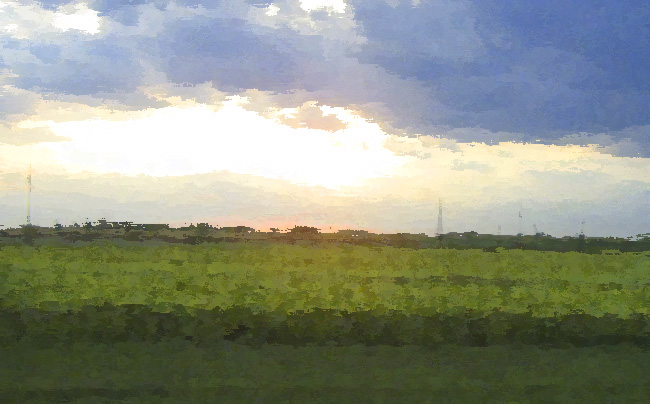 Photoshop-assisted artistic rendering of a picture Shannon took from the train in Hungary as the sun was setting over a field of petal-less flowers.  (2009)
