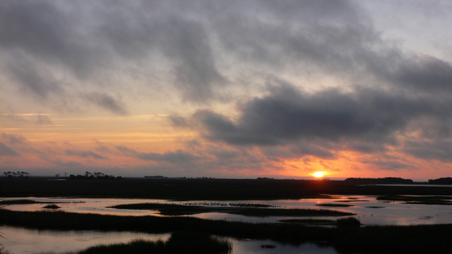 Took this sunrise picture at St. Marks with my nephew Bobby last fall. (2009)